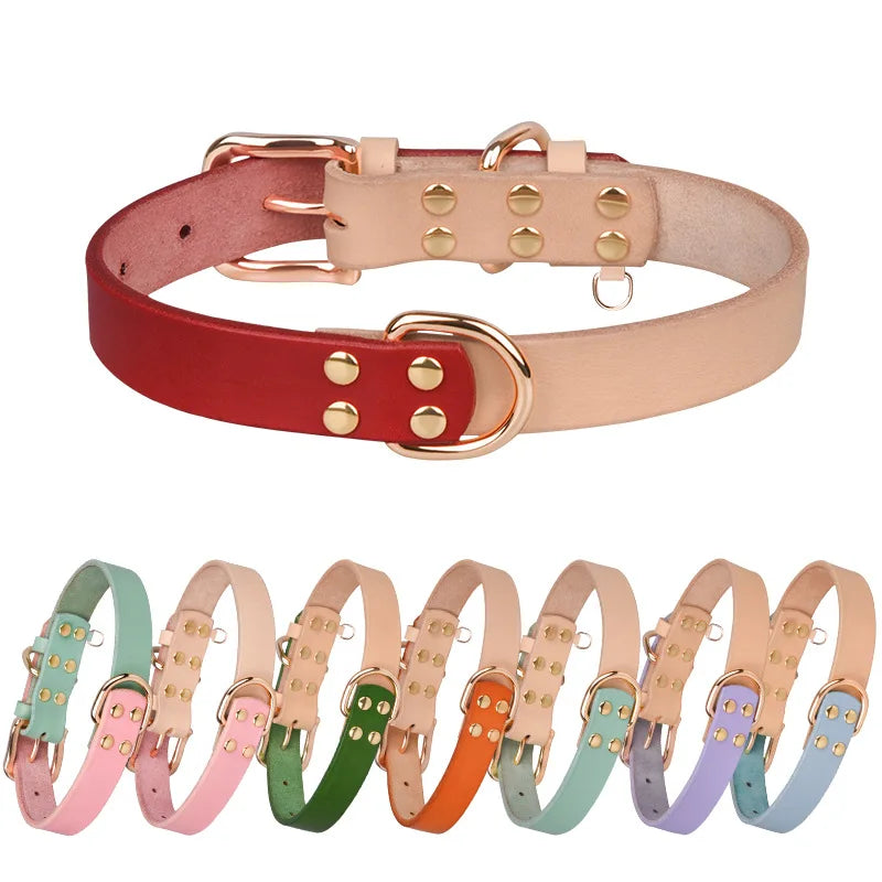 Luxury Shiny Rhinestone Dog Collar Personalized Nylon Pet Accessory Engraved ID Tag Solid Traction Leather Dog Leash Neck Rope