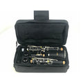 Custom Brand Sinomusik High Quality Black Bakelite 17 Key Bb Clarinet Woodwind Musical Instrument with case Made in China