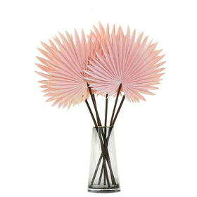 New 65cm Natural Trimmed Dried Palm LeavesArtificial Plants Palm LeavesPU Fan Palm Spear for Photo Props Home Decoration