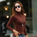 New Spring Autumn Long Sleeve Warm Elastic Bottoming Top Pullover Basic Daily Turtleneck Soft Fit Tops Women Shirt
