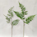 Wholesale Faux Green Plant Artificial Fern Artificial Plant For Home Decoration