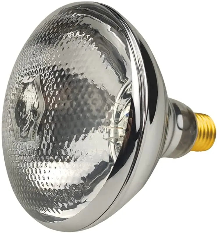 Waterproof Heat Light Bulb Breeding Lamp Infrared Heater Bulbs