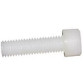 Plastic Hexagon Socket Cheese Head Polyamide Nylon PA66 Screw Plastic Screw