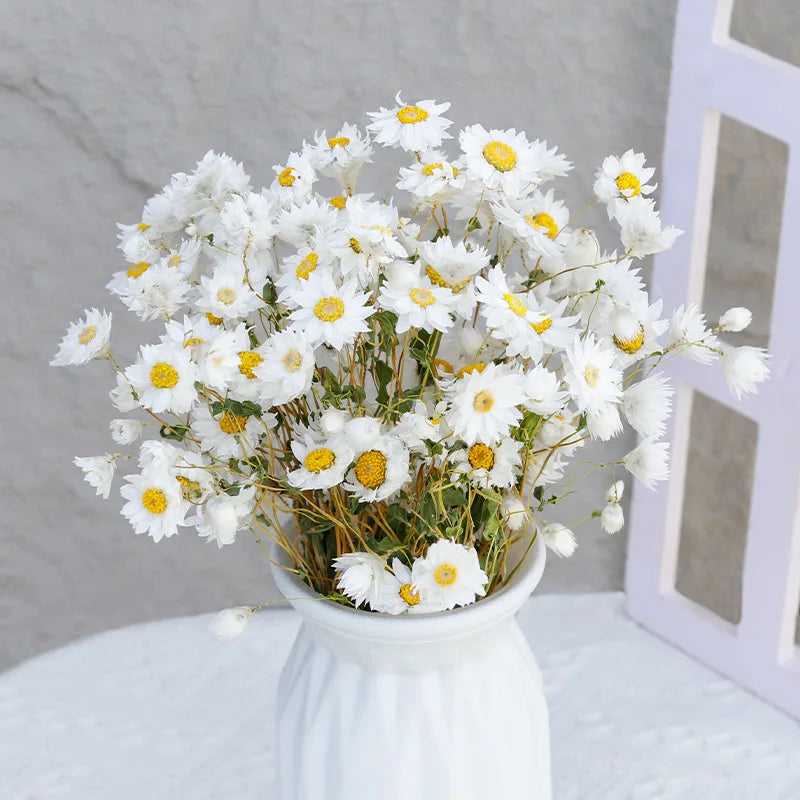 G80 Farmhouse Vase Decor Dried Daisy Flowers Bouquet Dry White Flowers Natural Daisies Arrangements