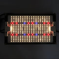 King Brite Top Bin Diodes 120W Samsung LM301H Mix XP-E2 660nm 730nm LG UV LED Grow Light Indoor Grow