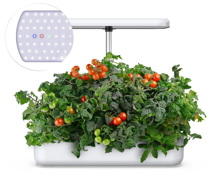 Indoor Vertical Hydroponic Growing System Intelligent Control Grow Lights Water for Vegetables