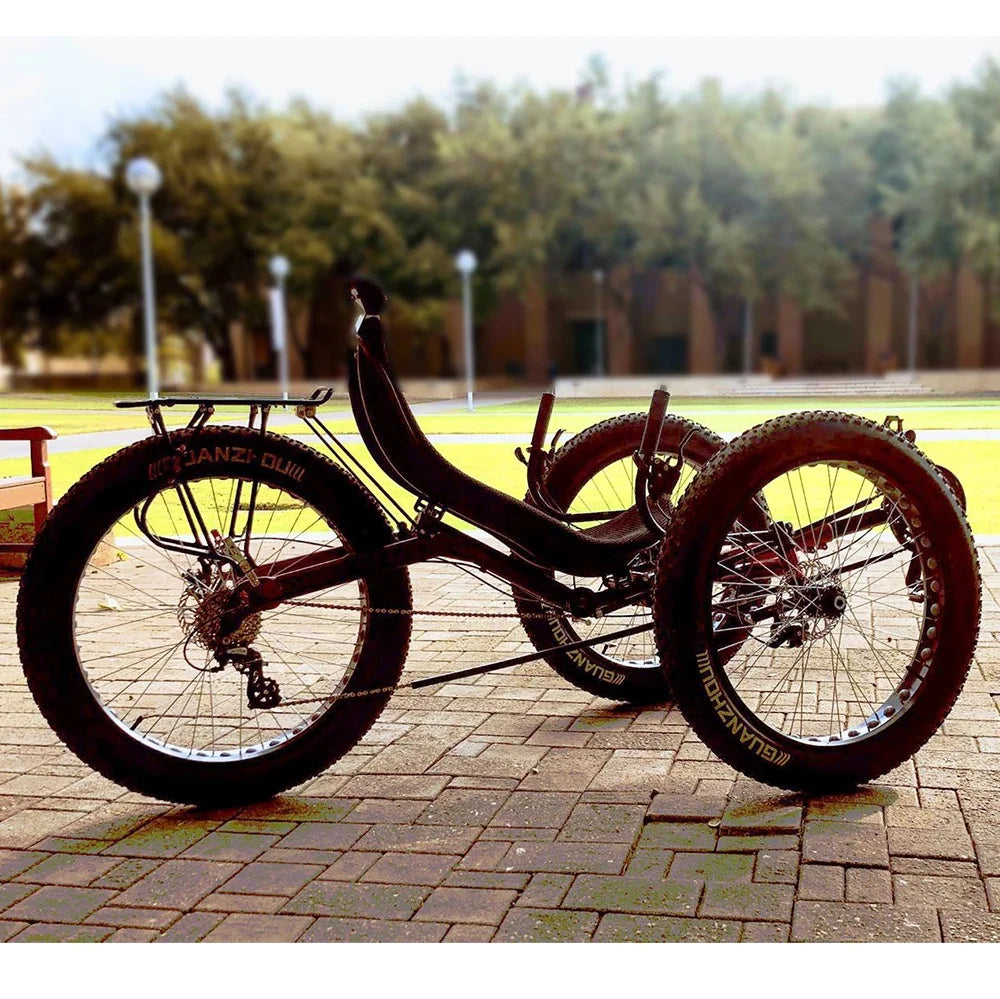 Free Shipping Off Road Fat Tire Big Rear Wheel Recumbent Tricycle for Adult Old People