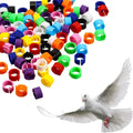 YYB Plastic Pigeon Leg Rings Chicken Small Animal Bird Quail Foot Rings Poultry Farm Equipment