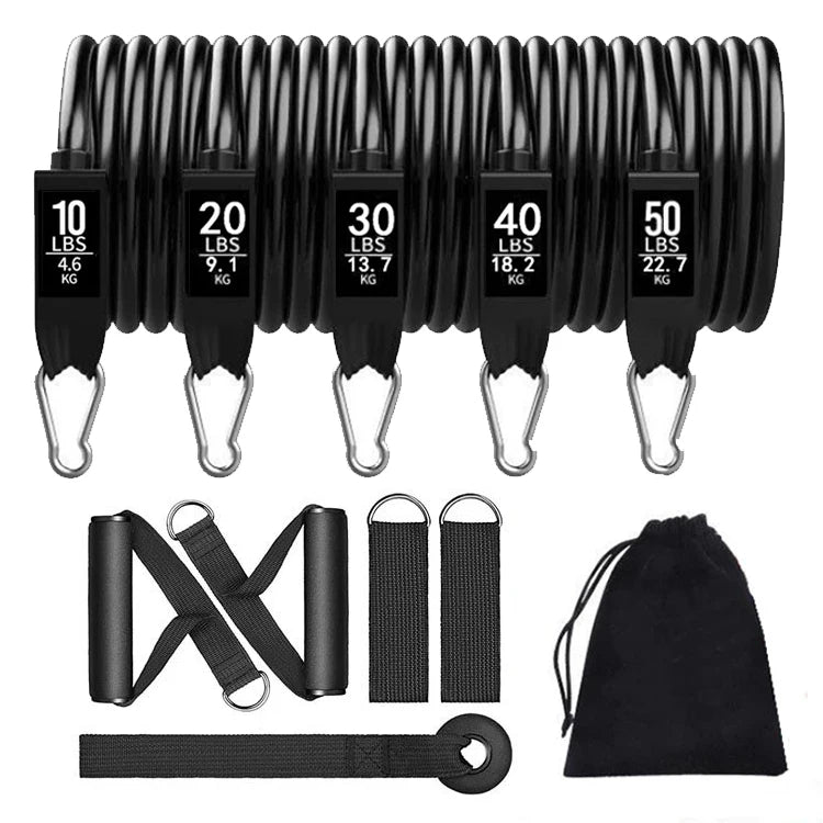 Resistance Bands Set Exercise Bands with Door Anchor Handles Carry Bag Legs Ankle Straps for Resistance Training