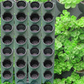 Movable Plant Wall Stackable Plastic Two Pockets Outdoor Garden Plant Vertical Wall Hanging Wall Planter with Irrigation System