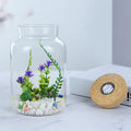 DIY Mini Forest Landscape Jar Glass Terrarium with Wooden Cork Lid and LED Light Tabletop Decoration Planting