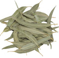Natural Bulk Green Dried Eucalyptus Leaf Real Dried Eucalyptus Leaves for Sale
