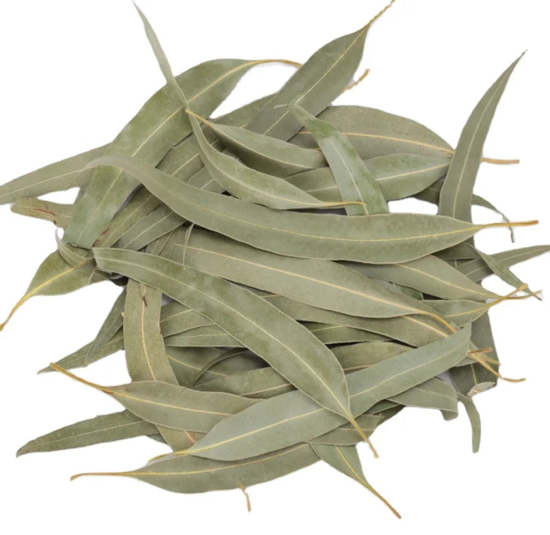 Natural Bulk Green Dried Eucalyptus Leaf Real Dried Eucalyptus Leaves for Sale