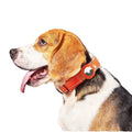 High Quality Reflective Nylon Dog Collar Lace Adjustable Luxury Large AirTag Retainer Tracker Durable Safety Latch Strap Solid