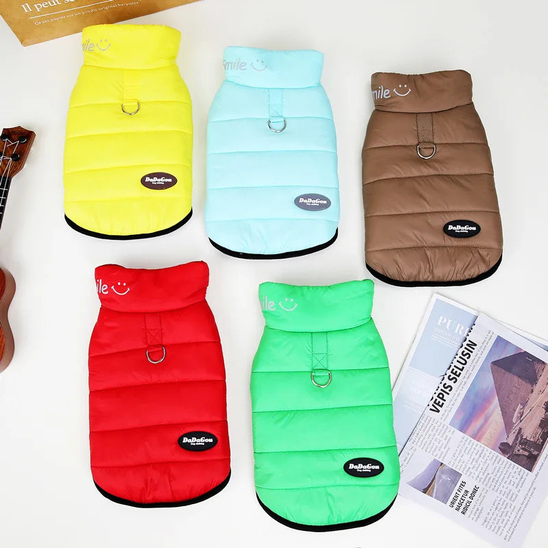 Five Colors New Style Designer Dog Clothes Wholesale Waterproof Dog Winter Coat