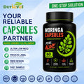 ISO NON-GMO HACCP GMP Certified Moringa Capsules Moringa Leaf Extract Label Building Service