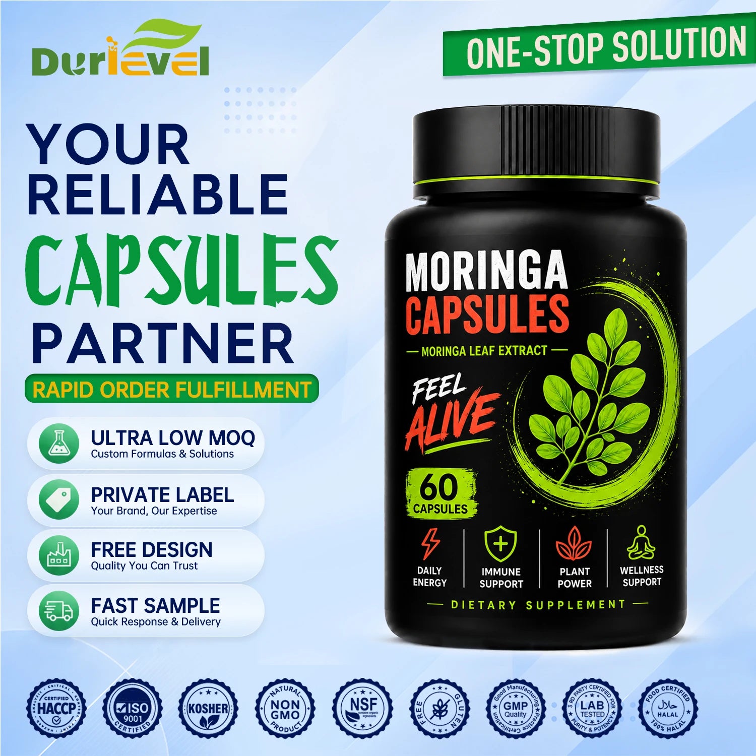 ISO NON-GMO HACCP GMP Certified Moringa Capsules Moringa Leaf Extract Label Building Service