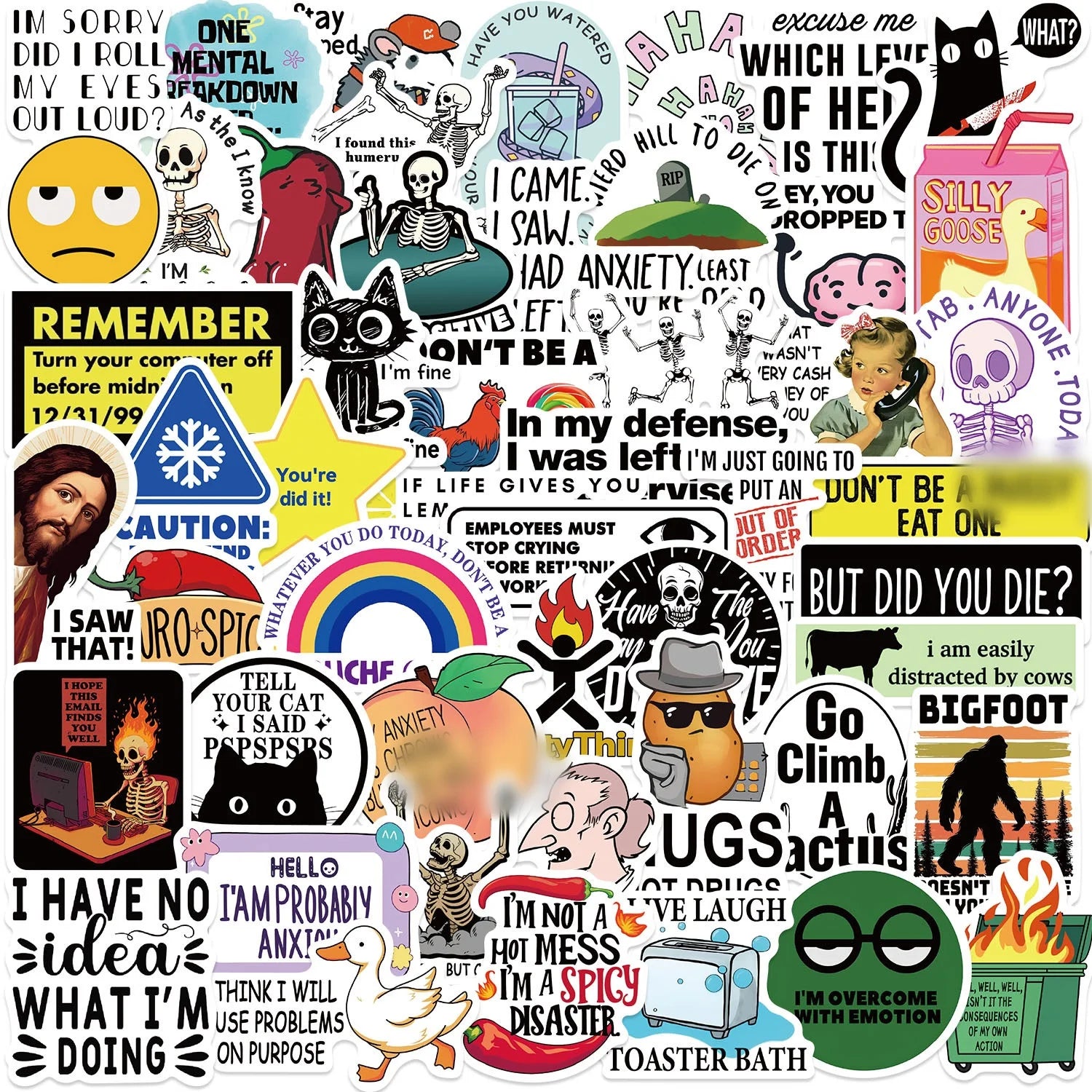 50PCS Funny Sarcastic Saying Humorous Phrase Snarky Meme Sticker