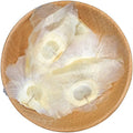 Mu Hu Dried Indian Trumpet Flower Seed White Oroxylum Indicum Dried Fruits Semen Oroxyli for Herb