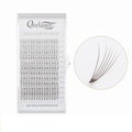 Stock 0.07mm 6D Pre Made Fans Lashes Extension 0.07mm C D Short Long Stem Premade Volume Fans
