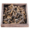 Lougu Best Selling Gryllotalpa Orientalis Raw Wholesale Raw Natural Whole Dried Gryllotalpa Orientalis for Sale