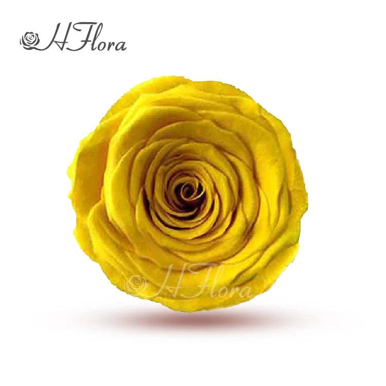 HFlora Wholesale 6-7cm Forever Roses Preserved Flowers-Real Natural Touch Long Lasting 3-5 Years Father's Day & Christmas Decor