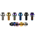 Ninghao M5x12mm Custom Titanium Alloy Anodized Bicycle Bolt-Multi-Color Options ISO 9001 Certified