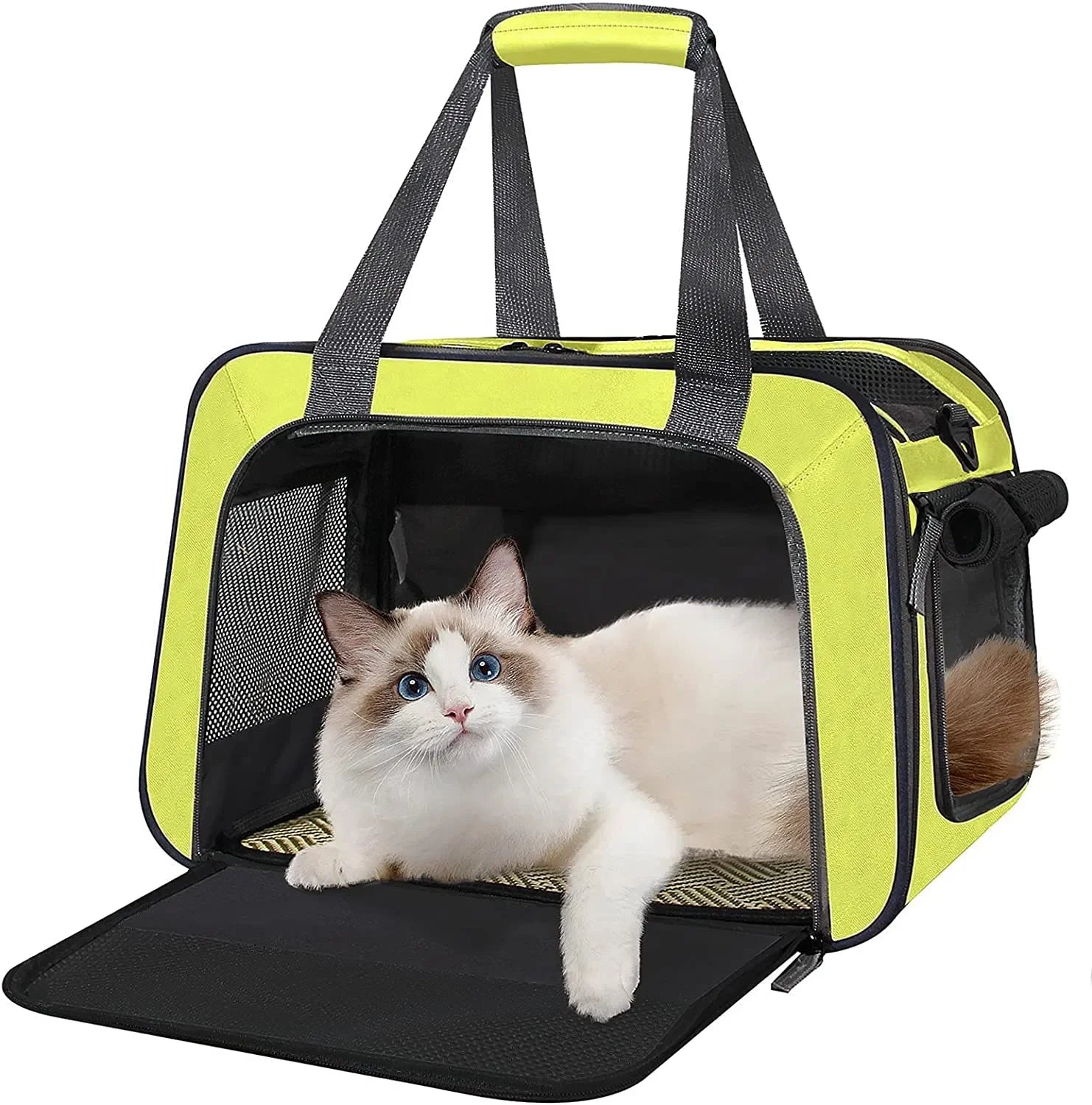 Adjustable Luxury Portable Pet Carrier Backpack Waterproof Outdoor Travel Cat and Dog Backpack with Zipper Closure