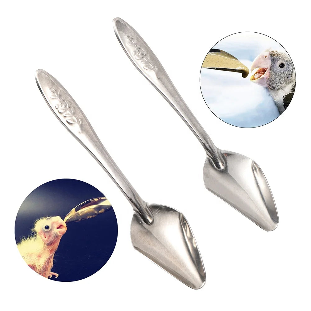 Nestling Bird Stainless Steel Spoon Milk Powder Parrot Feeding Metal Spoon