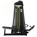 LDK International Standard Steel Flexion Extension Machine for Commercial Gym Use 300kg Capacity