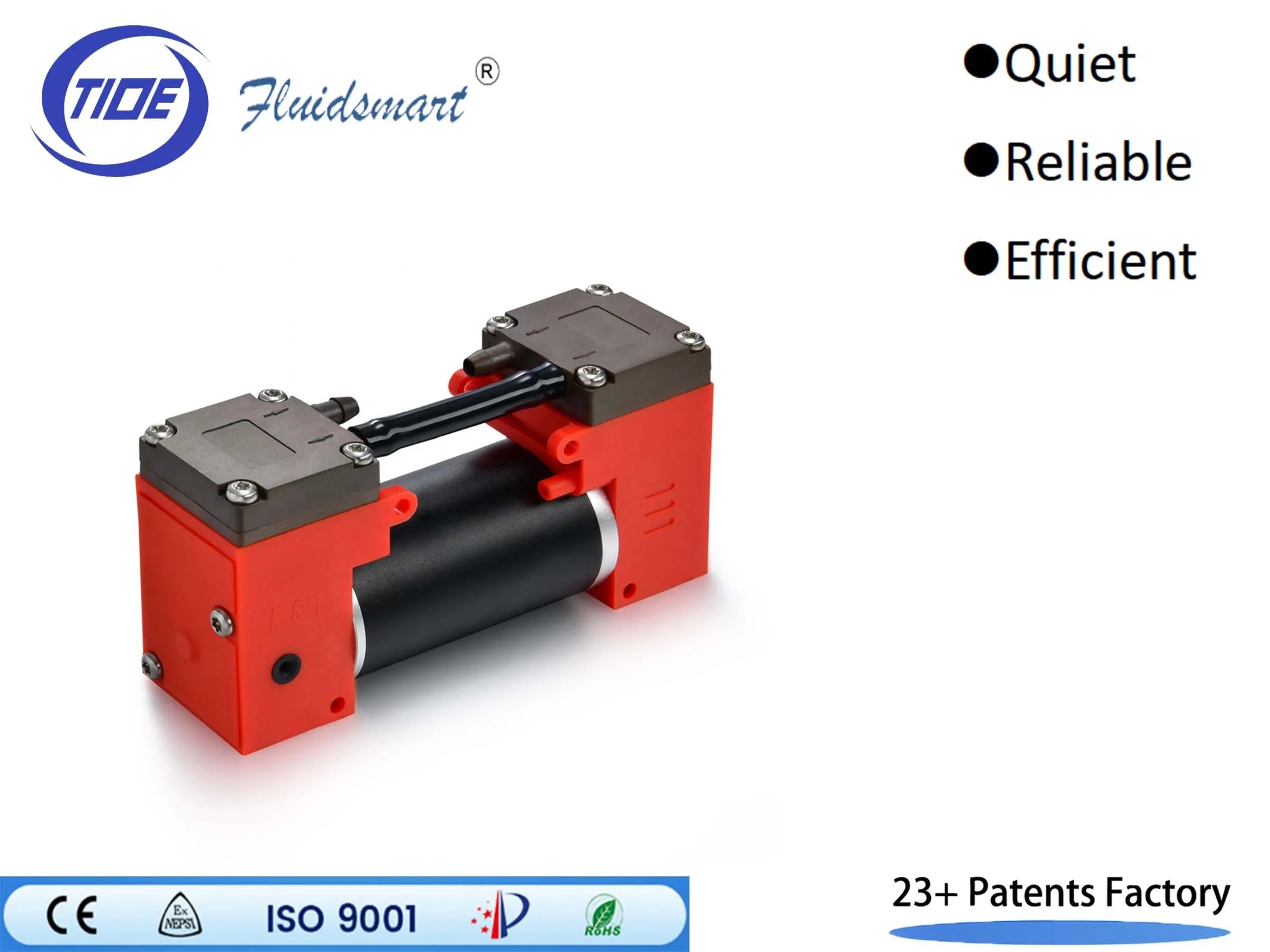 Fluidsmart ARP4DB12SP Double Head DC 12V Oil-free Piston Pump for Automotive Industry High Pressure 4L/min Flow Rate