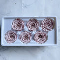 Preserved Flower Carnation 4-5cm8 Pack Valentine's Day Mother's Day Christmas Gift Preserved Flower