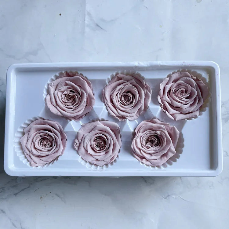Preserved Flower Carnation 4-5cm8 Pack Valentine's Day Mother's Day Christmas Gift Preserved Flower