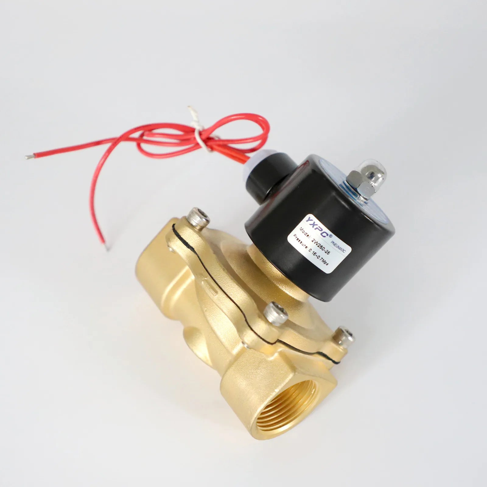 Water Shut Brass 2/2 Way Medium Temperature 2W250-25 Irrigation 25mm Normally Closed 220v 1 Inch Solenoid Valve