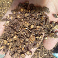 Chai Hu  Normal Herb Bupleurum Chinense Roots RADIX BUPLEURI for Sale