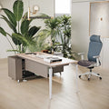 Modern Minimalist Executive Manager President Office Desk Lockers Home Boss Computer Furniture Secure Workspace Home Office Use
