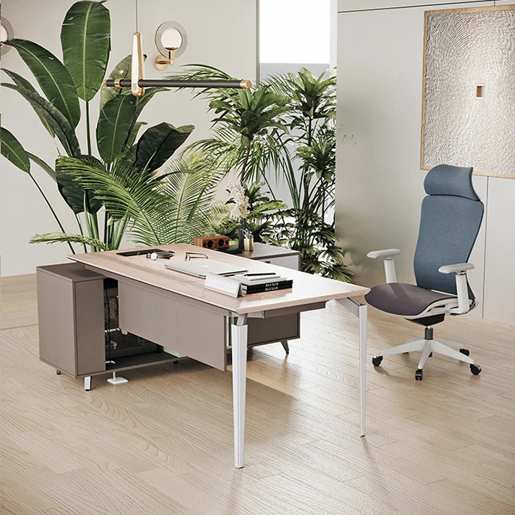 Modern Minimalist Executive Manager President Office Desk Lockers Home Boss Computer Furniture Secure Workspace Home Office Use