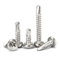 Bag of 100pcs Stainless Steel 410 Pan Round Self-Drilling Roofing Screw M4.2 M4.8 Cross Recessed Metric Measurement System