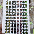 Plastic Fish Eyes Four Color 3d Fish Eyes With Effect  3d Eyes for Fishing Lures