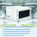 TOJJE Direct Manufacture Selling 240L/D Refrigerant Ceiling Mounted Industrial Dehumidifier for Grow Room Greenhouse Indoor Pool