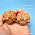 Wholesale Hand Carved Acupressure Walnut Gift Corporate Wellness Stress Relief Palm Massager with OEM Custom Engraving