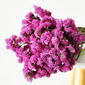 Zante Preserved Real Natural Dried Myosotis Sylvatica Flower Forget Me Not for Home Office Events Decor