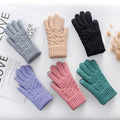 Ladies Winter Thick Warm Jacquard Touch Screen Five-finger Knitted Gloves