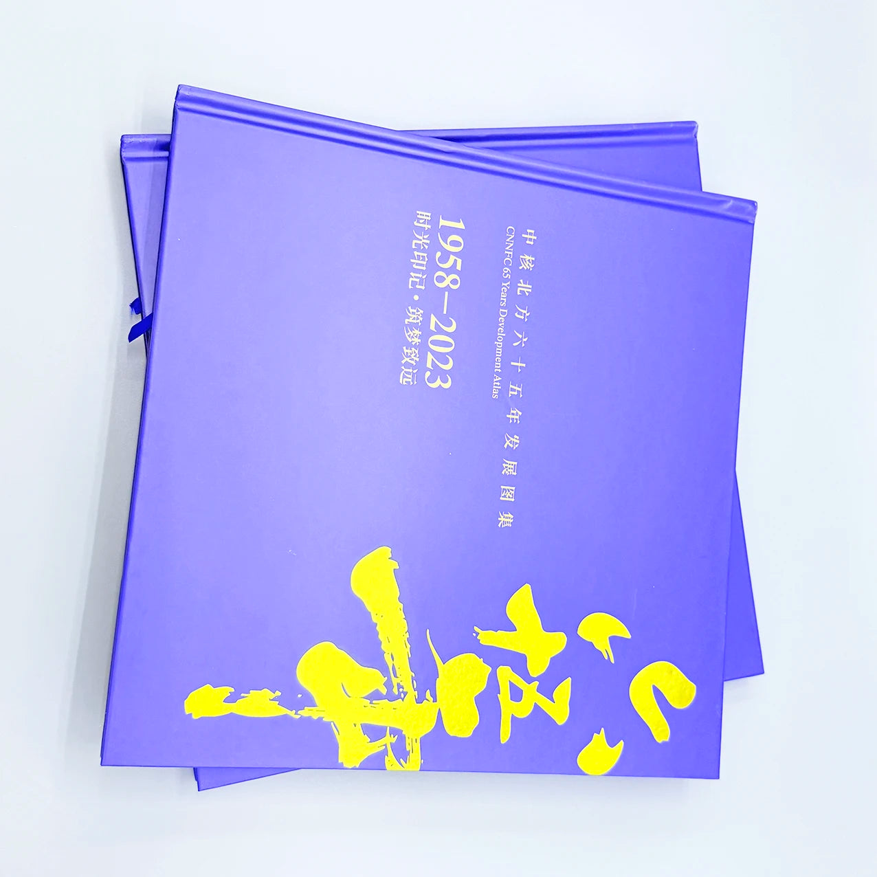 Customizable Hardcover Exhibition Brochure Folding Leaflet Sample Magazine Printing Butterfly Binding Offset Printing