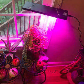 Liweida 40-Watt LED Panel Grow Light Red Blue UV IR Small Size for Home/Office Plant Bloom 2025 Model