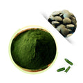 Hot Selling Wholesale Spirulina Raw Materials Japan Spirulina Tablets Fresh Spirulina-usa