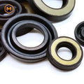 Standard Sizes Gas Spring Oil Seals Product Line Including 6*13 8*16 10*19 10*20 12*25mm