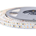 Super SMD2835 Bicolor Led StripW+WW 24V Dual White CCT Tunable Dimmable Led Light Strip