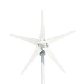 Summer Cool Goods 600w 12v 24v Horizontal Wind Turbine Generator for Home Use