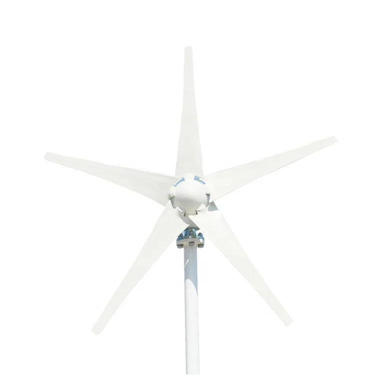 Summer Cool Goods 600w 12v 24v Horizontal Wind Turbine Generator for Home Use